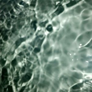 Meet your Posher, Enelly